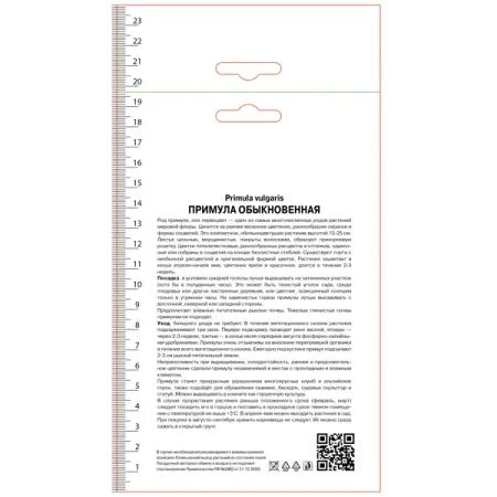 Примула обыкновенная Пепл Сторм бурлящий шар для ванны eo laboratorie примула и зеленый чай 220 г