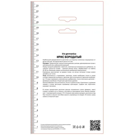 Ирис бородатый Бульвинкль