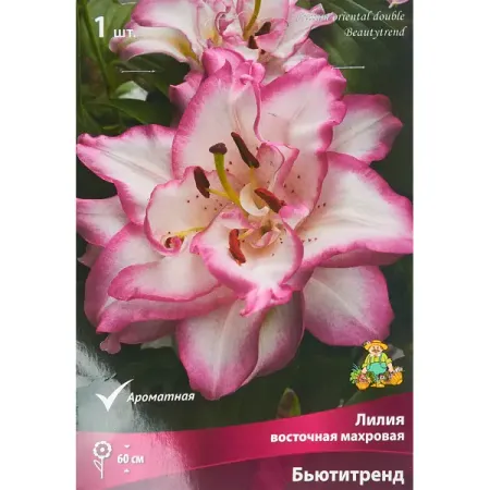 Лилия восточная махровая Бьютитренд губка для купания mepsi махровая белая