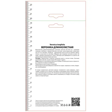 Вероника длиннолистная Альба