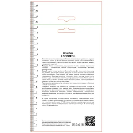 Клопогон ветвистый Атропурпуреа