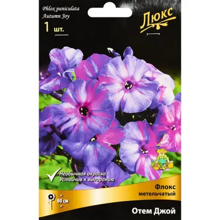 Флокс метельчатый Отем Джой солнечные светильники amaryllis для сада 1000lm 192led