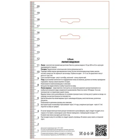 Лилия видовая Фэйри Морнинг