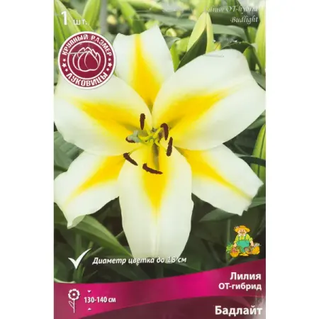 Лилия ОТ-гибрид Бадлайт 1 шт. гобелен xianyunhe с луной звездой таро картой котом и тигром