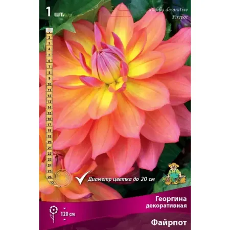 Георгина декоративная Файрпот луковица I greathope washi tape декоративная лента с ами и листьями 10 м