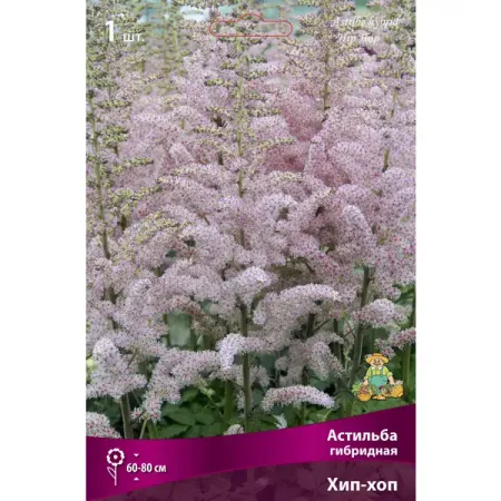 Астильба гибридная Хип-хоп, 10 шт