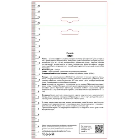 Пион молочноцветковый травянистый Эденс Парфюм