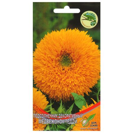 семена Подсолнечник декоративный Медвежонок Тедди ДОМ СЕМЯН 0,45г moonbiffy бумажное конфетти медвежонок 150 шт