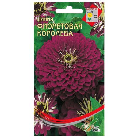 семена Цинния Фиолетовая Королева ДОМ СЕМЯН 0,42г семена цинния алое пламя дом семян 0 22г