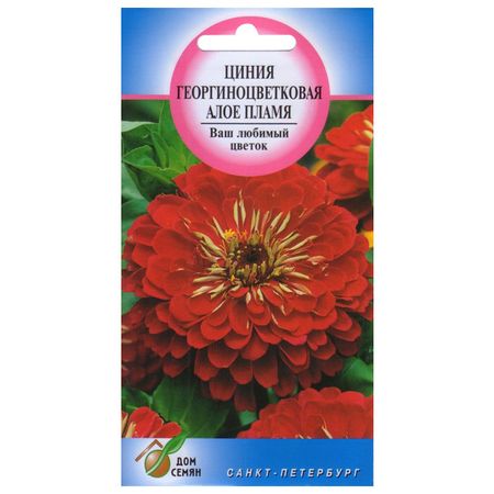 семена Цинния Алое пламя ДОМ СЕМЯН 0,22г семена цинния алое пламя дом семян 0 22г
