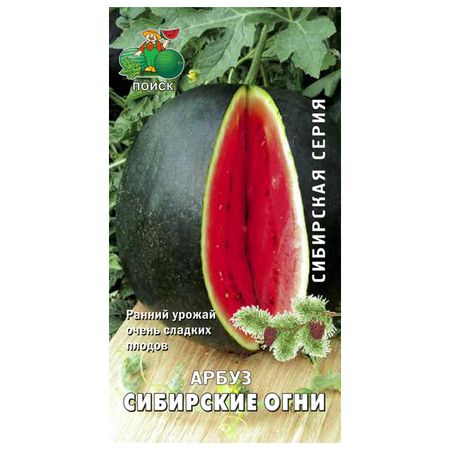 семена арбуз Сибирские огни ПОИСК 15шт светодиодные тыквенные огни для хэллоуина