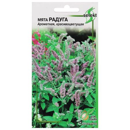 семена мята овощная Радуга ДОМ СЕМЯН 0,03г смесь овощная bonduelle овощи по турецки фасулье быстрозамороженная 400 г
