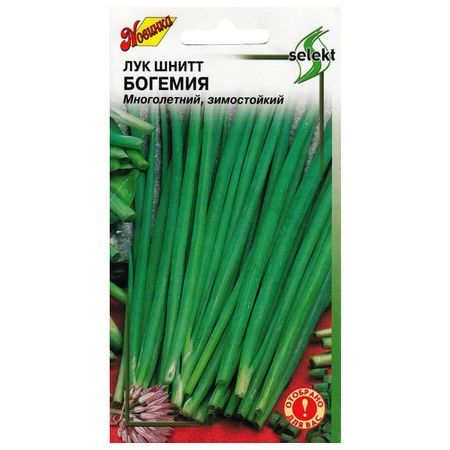семена лук шнитт Богемия ДОМ СЕМЯН 0,4г