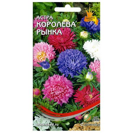 семена Астра Королева Рынка смесь ДОМ СЕМЯН 0,25г