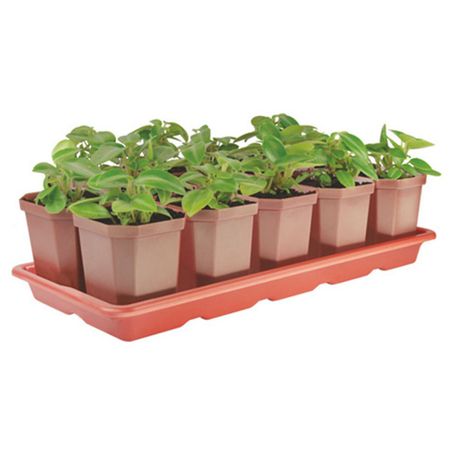 набор горшков для рассады 10шт 0,3л 41х17х9см с поддоном