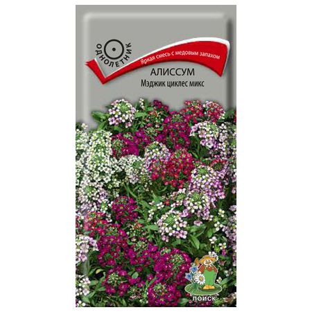 семена Алиссум Мэджик циклес микс ПОИСК 0,1г семена алиссум ванильное облако 0 1 г