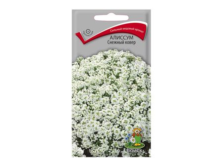 семена Алиссум Снежный ковер ПОИСК 0,3г семена алиссум ванильное облако 0 1 г