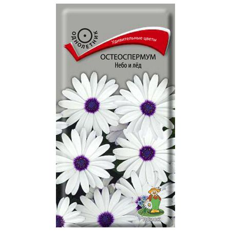 семена Остеоспермум Небо и лед ПОИСК 0,1г
