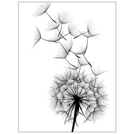 постер 300х400мм ЛЕГКОСТЬ постер hangin scroll