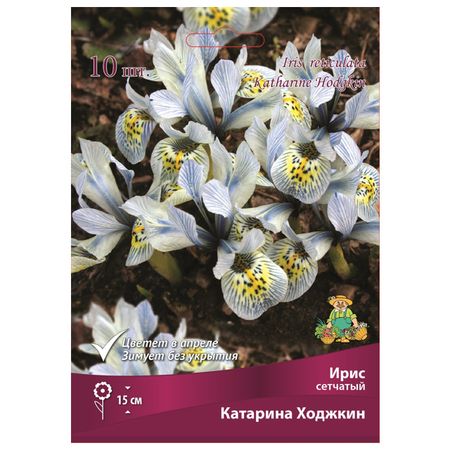 корни растений  ирис сетчатый Катарина Ходжкин в капере 10 шт. 6/+ moonbiffy антипригарный сетчатый коврик для барбекю