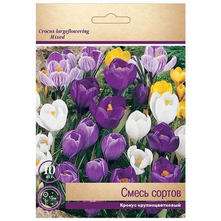 луковицы растений  крокусы крупноцветковые смесь окрасок в капере 10 шт. 8/9