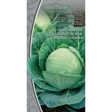 семена Капуста белокочанная Июньская 1г семена капуста белокочанная мегатон гавриш f1 10шт