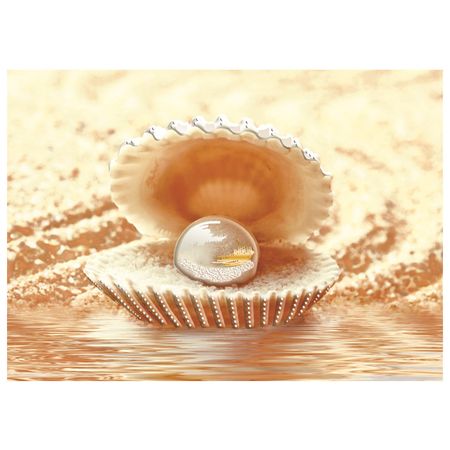 декор настенный AXIMA Фиджи D1 25х35 Жемчуг радужный флюорит морская ракушка