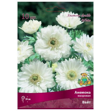 корни растений анемона махровая Вайт 10 шт. 5/6