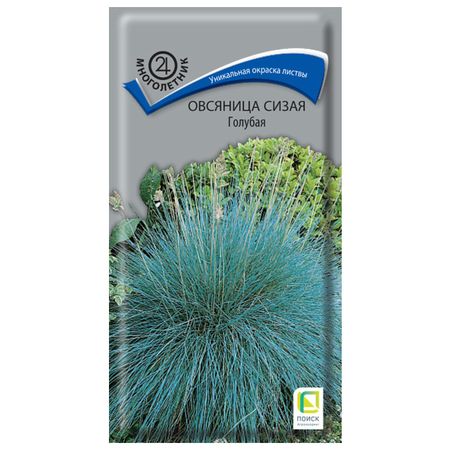 семена Овсяница сизая Голубая ПОИСК 0,1г