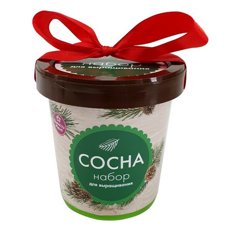 набор для выращивания Сосна sunmade мисти сосна искусственные растения 6 шт