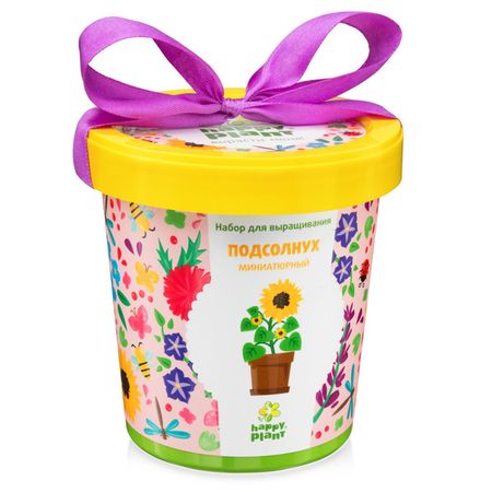 набор для выращивания Подсолнух миниатюрный миниатюрный домик из смолы