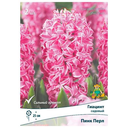 луковицы растений  гиацинт садовый Пинк Перл 2 шт. 14/15
