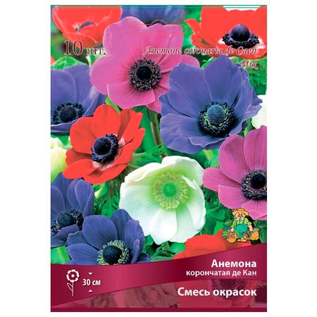 корни растений анемона корончатая де Кан Смесь окрасок 10 шт. 4/5