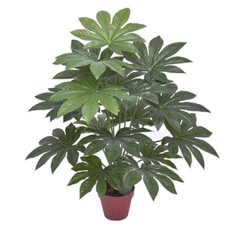 растение искусственное в кашпо Фатсия 65см фатсия японская ø17 h45 см