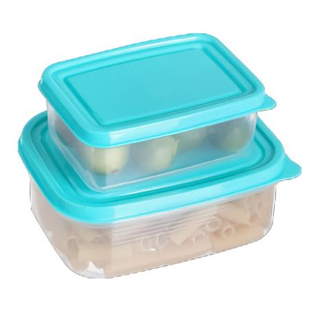 набор контейнеров TODELIA 2шт 0,4л, 0,2л прямоугольный пластик прозрачные крышки для контейнеров 10 шт