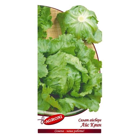 семена салат Айс квин Айсберг АГРОНИ 0,5г