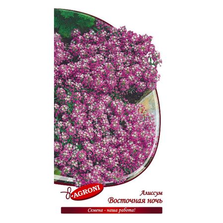 семена Алиссум Восточная ночь АГРОНИ 0,1г семена алиссум ванильное облако 0 1 г