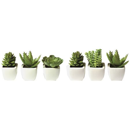 постер Кактусы канвас 200х700мм современный печатный постер на холсте