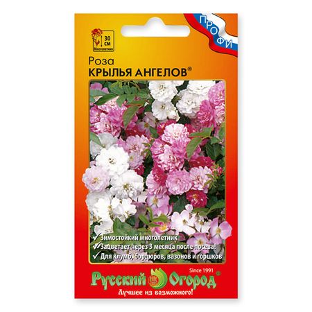 семена роза крылья ангелов 10 шт пластиковые статуэтки ангелов 3 шт