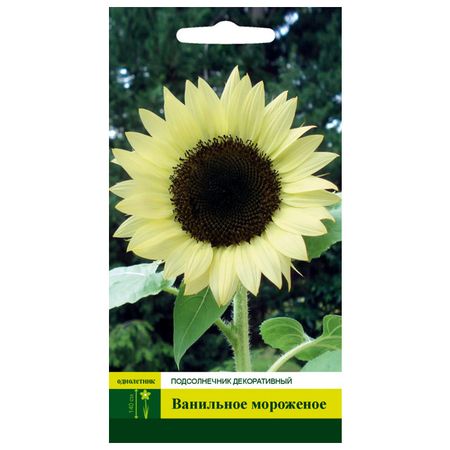семена СЕВЕРНЫЙ ОГОРОД Подсолнечник Ванильное мороженое 0,5г (цветок) семена алиссум ванильное облако 0 1 г