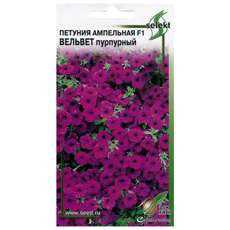 семена Петуния ампельная Вельвет пурпурный ДОМ СЕМЯН 0,05г семена петуния грандифлора суперкаскад бургунди 10шт