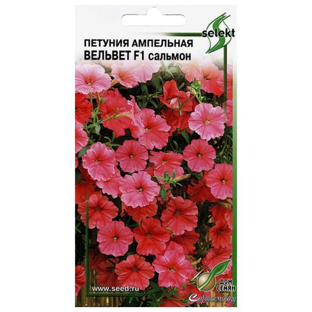 семена Петуния ампельная Вельвет сальмон ДОМ СЕМЯН 0,05г семена петуния грандифлора суперкаскад бургунди 10шт