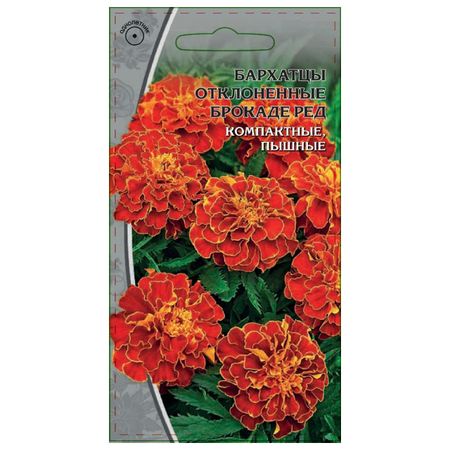 семена Бархатцы отклоненные Брокад Ред 0,5г семена поиск бархатцы отклоненные диско микс 10 шт