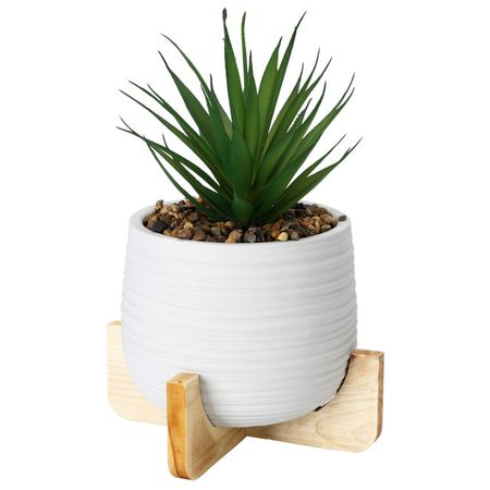 растение искусственное  Суккулент в горшке 22 см в асс-те ель искусственная настольная actuel в горшке с шишками 20 см 1 шт в ассортименте