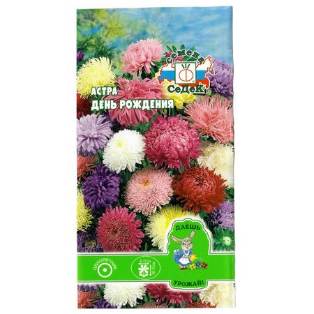 семена Астра День рождения смесь видов СЕДЕК 0,2г фоторамка для фотобудки chicinlife день рождения