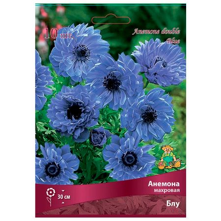 луковицы Анемона махровая Блу 10 шт.