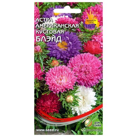 семена Астра американская кустовая Блейд ДОМ СЕМЯН 0,25г семена астра пионовидная серебряная башня дом семян 0 25г