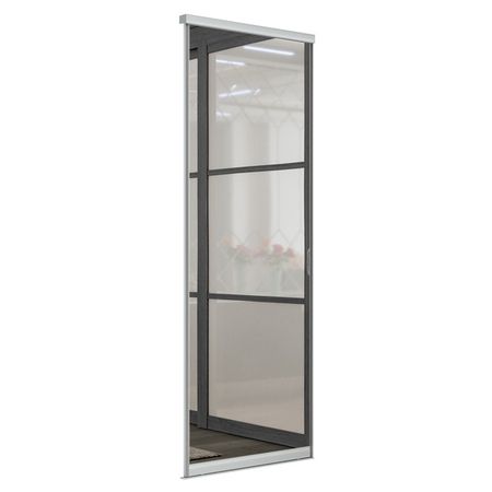 дверь-купе Экспресс 2 2052х796х40мм для шкафа 2200х800мм зеркало