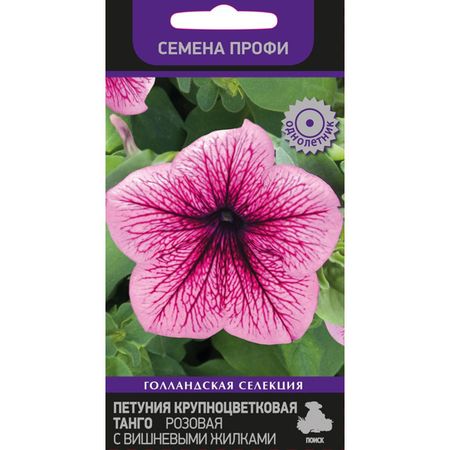 семена Петуния крупноцветковая Танго Розовая с вишневыми жилками ПОИСК 15шт