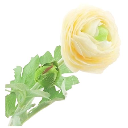 растение искусственное Лютик белый 49см 2 шт миниатюрные фигурки животных слон белый медведь еж коза пингвин свинья растение горшок садовый орнамент бонсай садовый декор